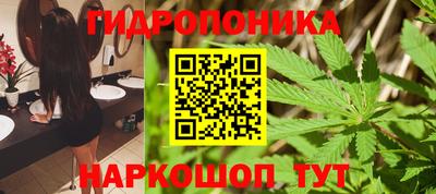 каннабис Камышлов