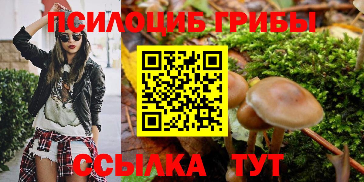 Псилоцибиновые грибы GOLDEN TEACHER  Вход с VPN  Краснокаменск 
